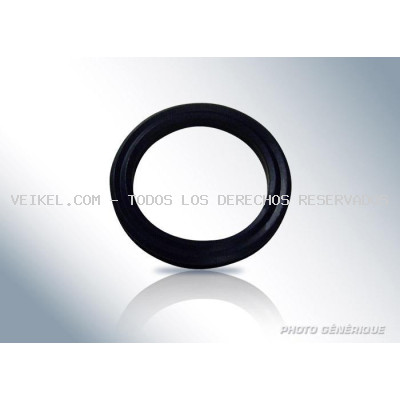 ANILLO DE JUNTA BOSCH: 2460223001