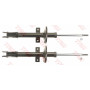 Amortiguador TRW: JGM1106T