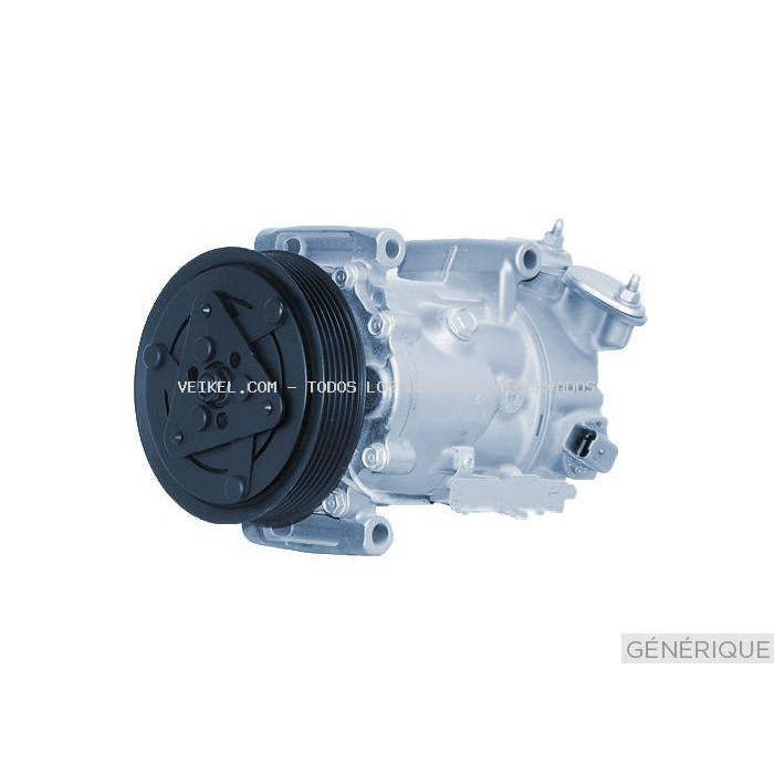 Compresor, aire acondicionado DELPHI: TSP0159960