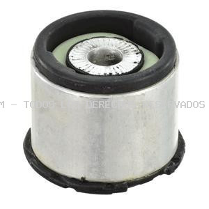 Suspensión, cuerpo del eje DELPHI: TD1095W