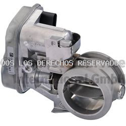 Tapa de gases de escape PIERBURG: 701300240